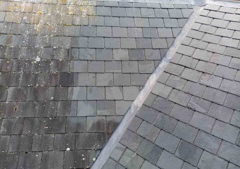 roof cleaning