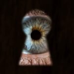 Alibi Investigations In Tampa