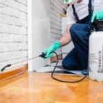 pest control wetherill park