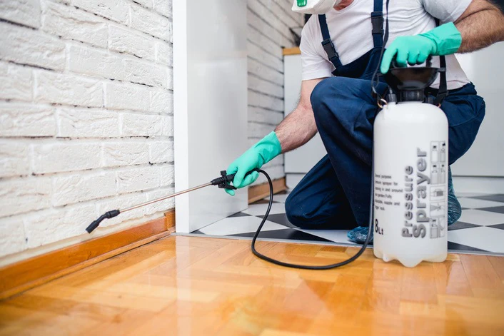 6 Signs You Need Pest Control Services in Alexandria