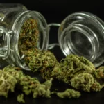 Weed delivery Mississauga