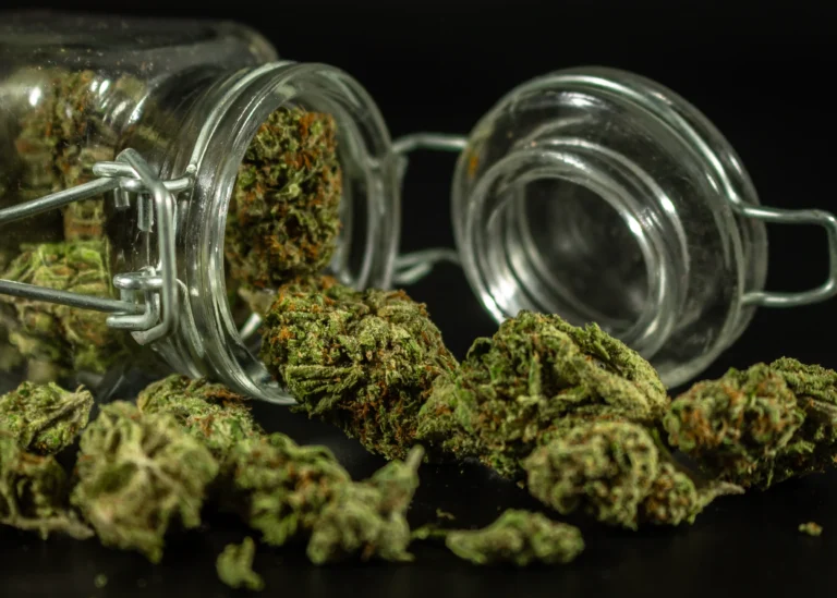 Weed Delivery Mississauga: A Wide World of Weed with a Wonderful Selection of Products