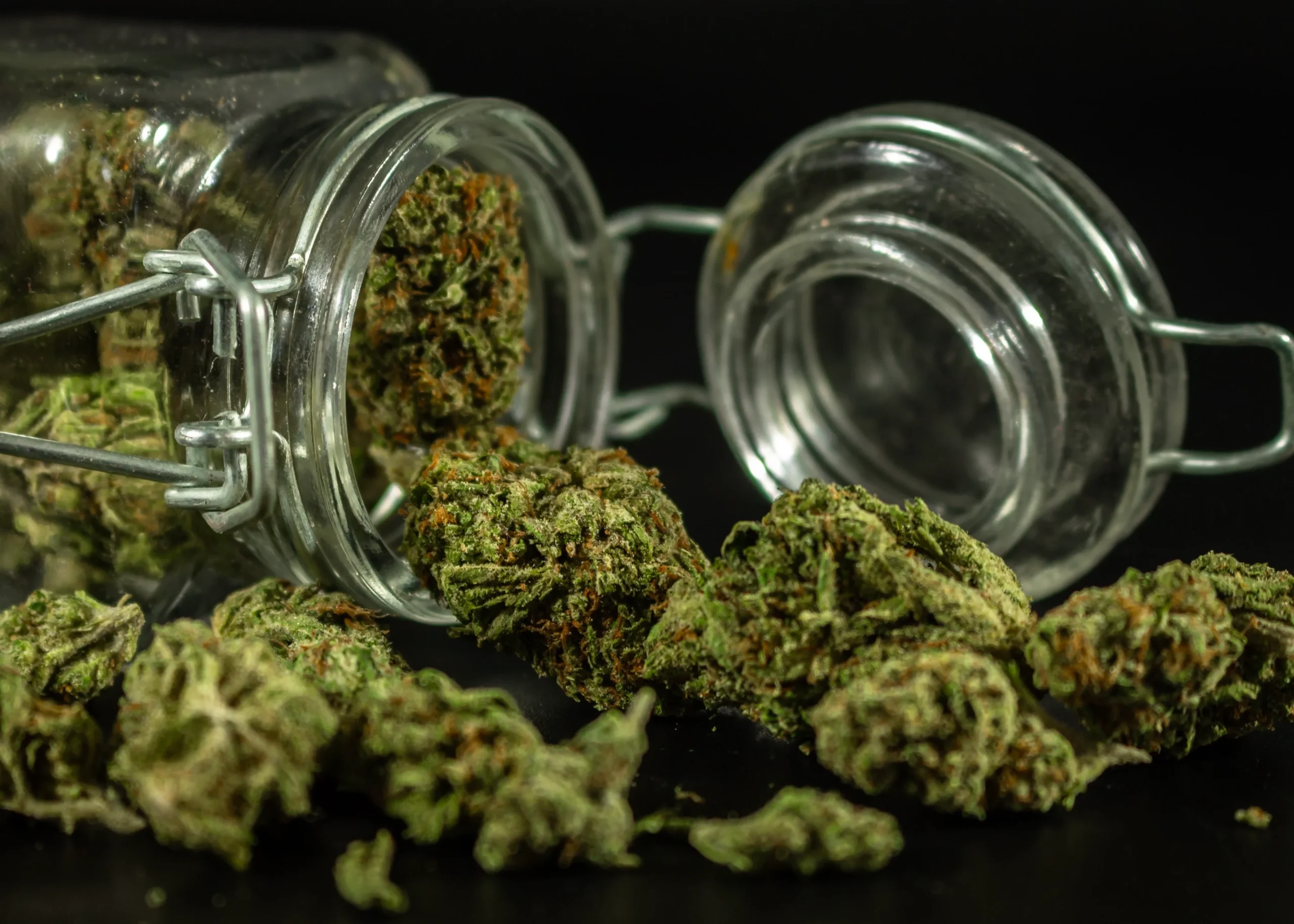 Weed Delivery Mississauga: A Wide World of Weed with a Wonderful Selection of Products