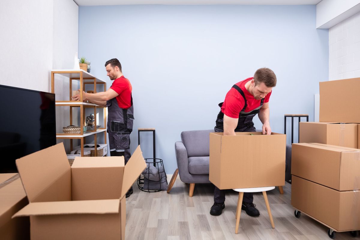 Moving Within the Same Building: How Professional Movers Can Help