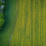 Enjoy a Smooth Land Sale with Simple, Transparent Land Selling Methods